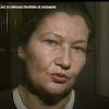 premieres-assises-europeennes-sur-la-violence-familiale-et-conjugale-1995