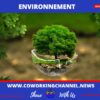 Actualites-Coworking-Channel-G20-Rio-Environnment-Ecology-6