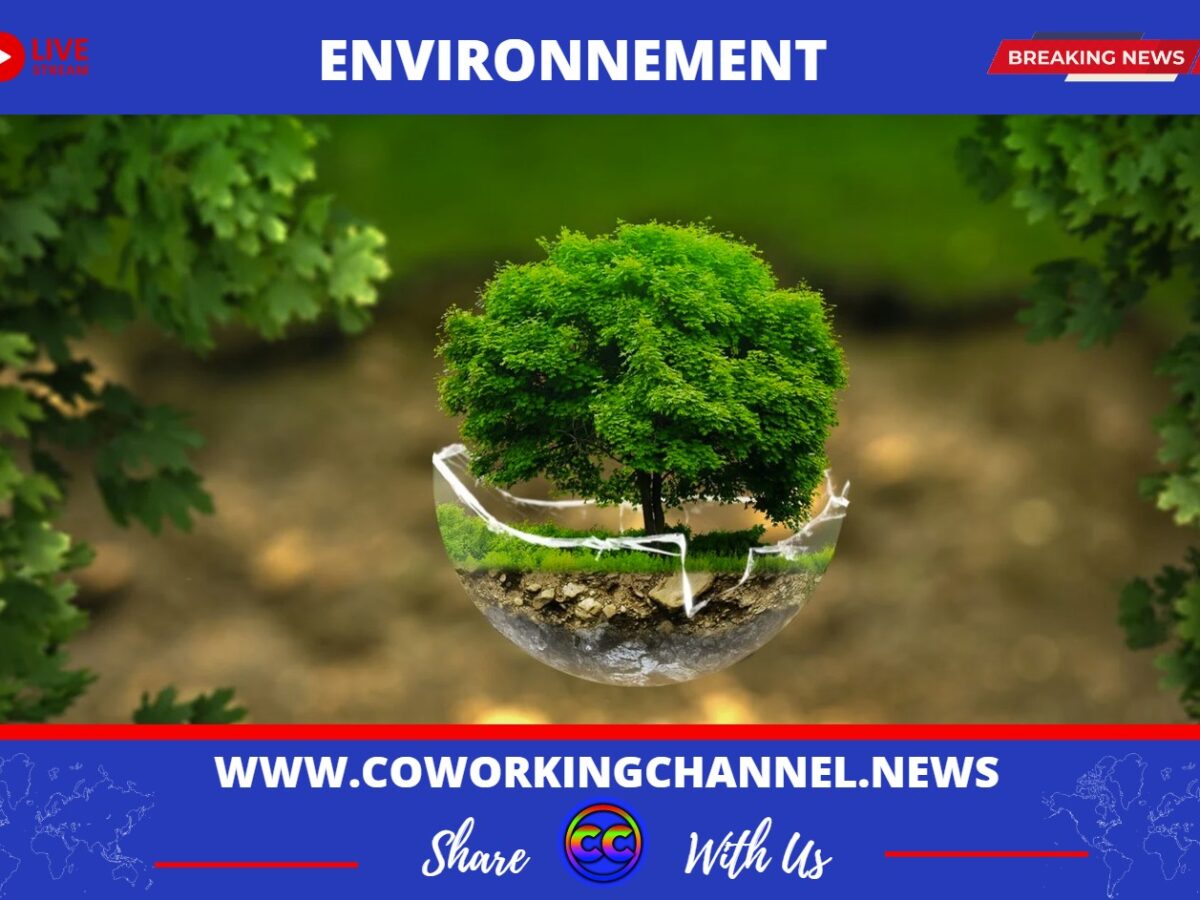 Actualites-Coworking-Channel-G20-Rio-Environnment-Ecology-6