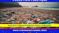Pollution-Plastique-Conference-Nelly-Pons-Article-Coworking-Channel-1