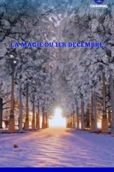 Film-1er-Decembre-By-Meriem-Belazouz-Director-For-Coworking-Channel-5