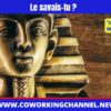 Le-plus-grand-musee-monde-Archeologie-Egypte-News-Coworking-Channel