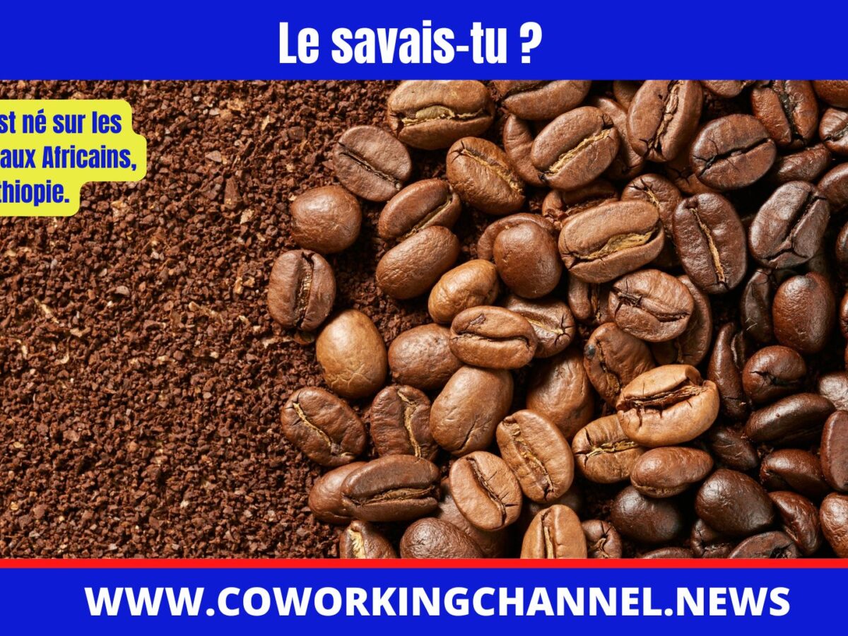 café-news-coworking-channel-2