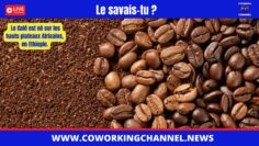 café-news-coworking-channel-2