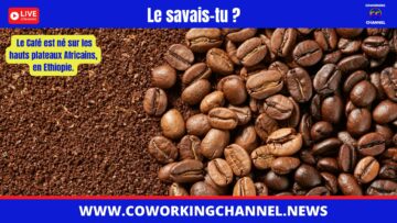 café-news-coworking-channel-2