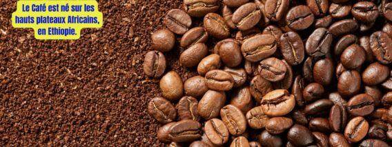 café-news-coworking-channel-2