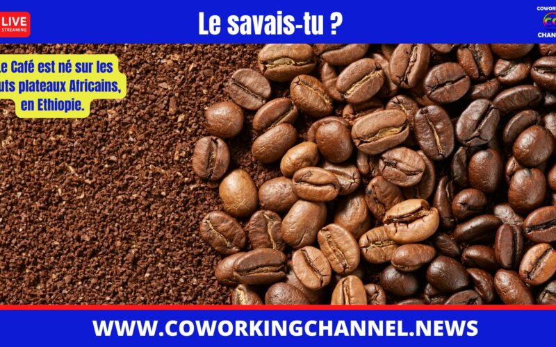 Le Café est né sur les hauts plateaux Africains, en Ethiopie.