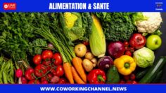Bien-Manger-Sante-Coworking-Channel