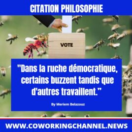 Dans-la-ruche-démocratique-certains-buzzent-tandis-que-d-autres-travaillent-Citation-Meriem-Belazouz