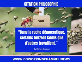 Dans-la-ruche-démocratique-certains-buzzent-tandis-que-d-autres-travaillent-Citation-Meriem-Belazouz