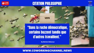 Dans-la-ruche-démocratique-certains-buzzent-tandis-que-d-autres-travaillent-Citation-Meriem-Belazouz