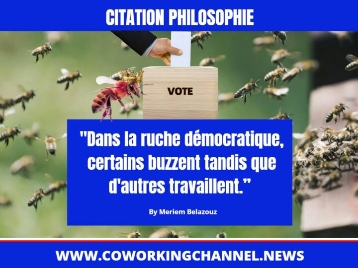 Dans-la-ruche-démocratique-certains-buzzent-tandis-que-d-autres-travaillent-Citation-Meriem-Belazouz