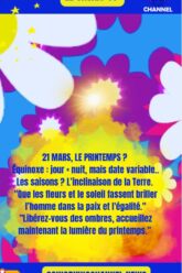 Le-Printemps-en-Fleurs-News-Coworking-Channel-2