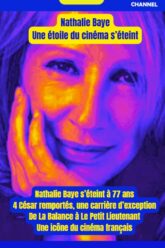 Hommage-Nathalie-Baye-By-Coworking-Channel-2
