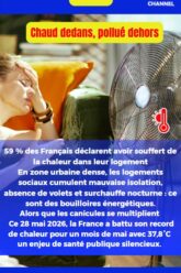 Canicule-Pollution-France-News-Coworking-Channel-2