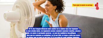 Canicule-Pollution-France-News-Coworking-Channel