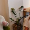 Pending – Youtube Automatic