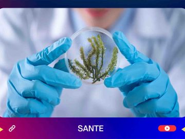 coworkingchannel-sante