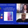 Privé : [ID: YzwgVMg7k1M] Youtube Automatic