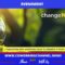 Change-Now-Event-News-Coworking-Channel-2