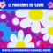 21 MARS, LE PRINTEMPS
