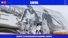 Animaux-Fan-Festival-Cannes-2