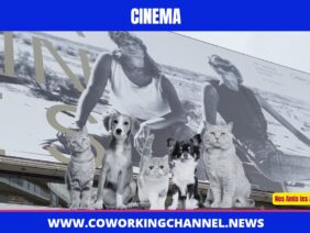 Animaux-Fan-Festival-Cannes-2