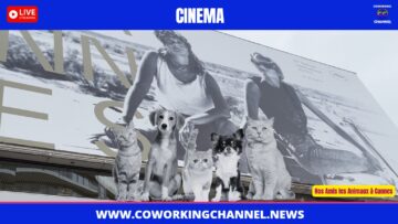 Animaux-Fan-Festival-Cannes-2