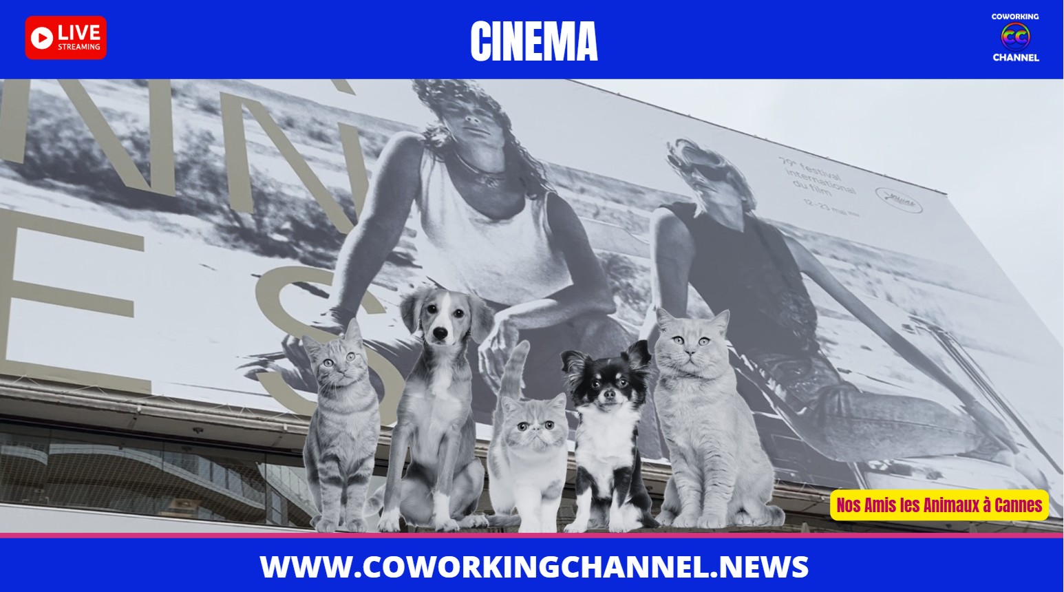 Nos Amis les Animaux à Cannes