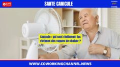 Canicule-France-2026-miiliers-deces-news-Coworking-Channel